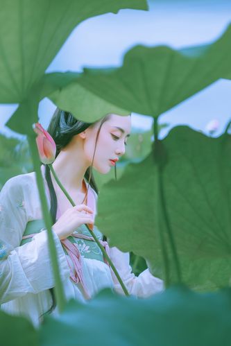 灼若芙蕖出渌波,黛如青丝绕碧螺.摄影:小